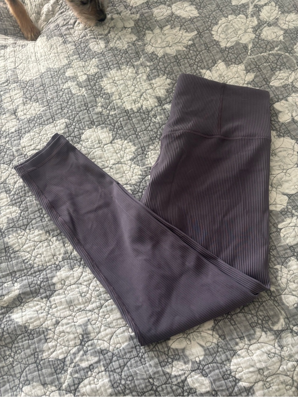 Athleta Elation Ribbed Legging Tights in Plumb Purple